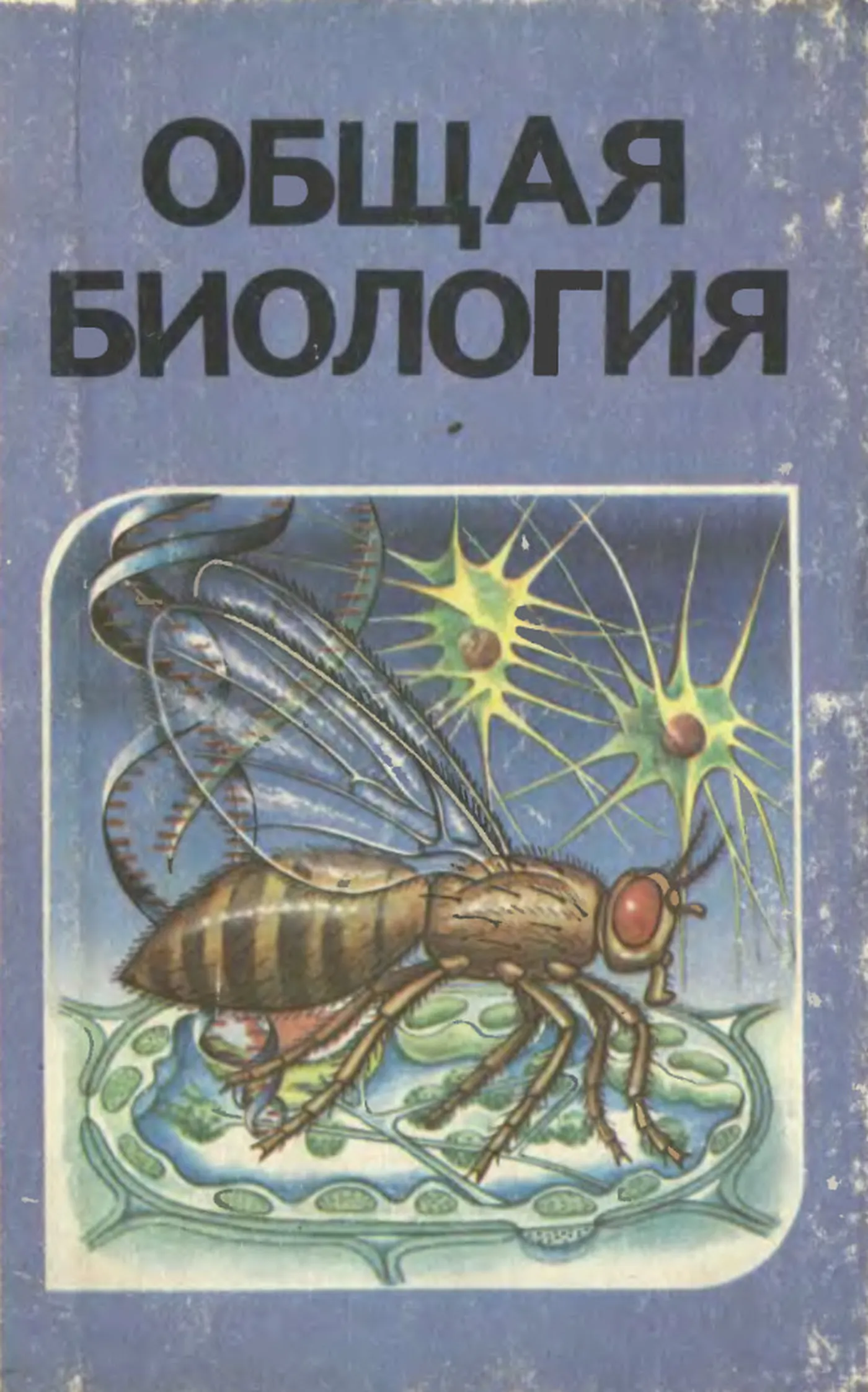 Общая биология (Беляев, 1991)