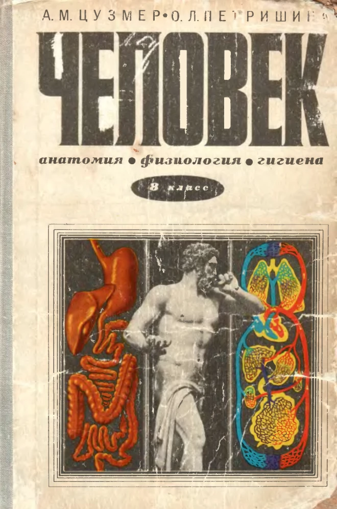 Человек (Цузмер, 1979)