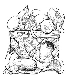 Лукошко с грибами